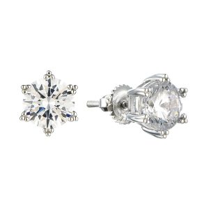 Silver Earrings